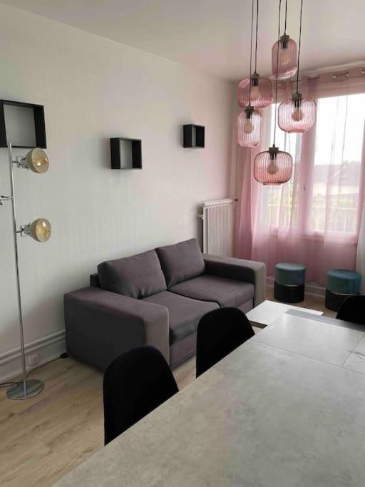 Bel Appartement Centre Ville De Vierzon Kültér fotó